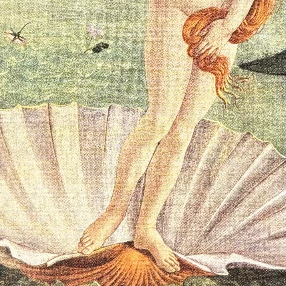 SANDRO BOTTICELLI Italy, The Birth of Venus Original Vintage Fine Art Print 30’s - Picture 5 of 7
